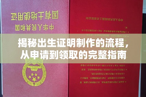 黔东揭秘出生证明制作的流程，从申请到领取的完整指南